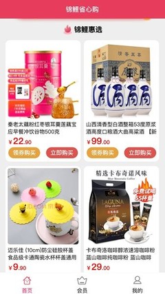 锦鲤省心购，一站式购物新体验